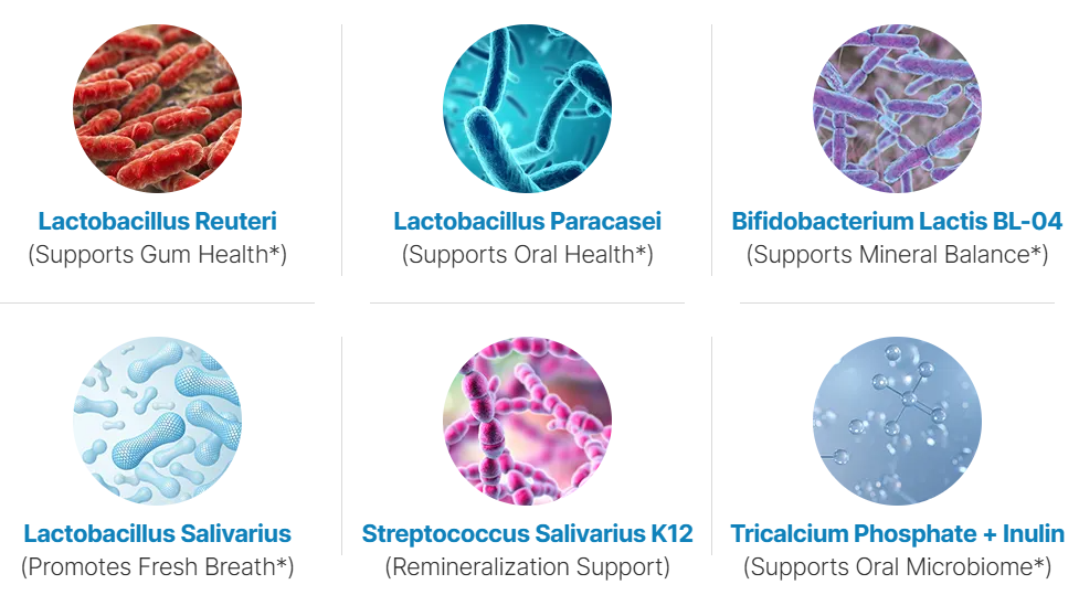 DentaVive Ingredients