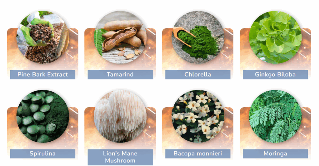 Jointvive Ingredients